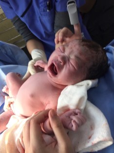 image-aecc623dfddab697a74fc2caa330ddc1141cafd6a833672cf32f2c11eff3ecb1-V