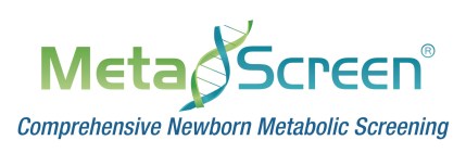 Metascreen Logo copy