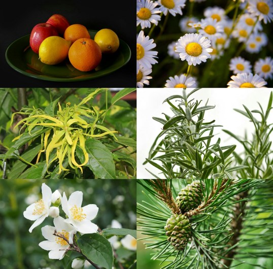 screenshot_20160912-184147