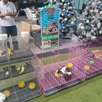 15094447_1211082882317880_3023252980569030787_n