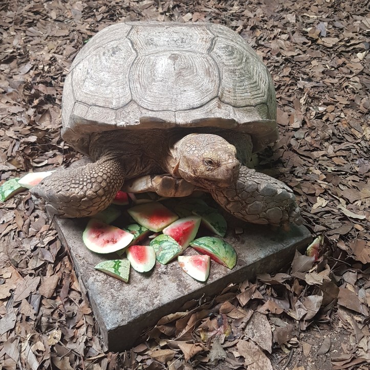 IMG_20170222_163235_247