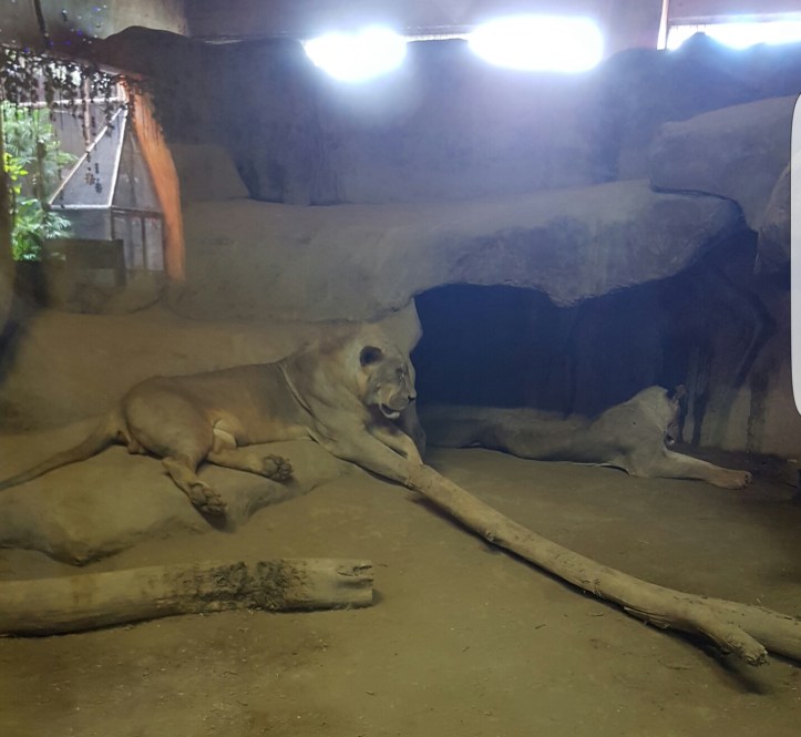 Screenshot_20170307-063048