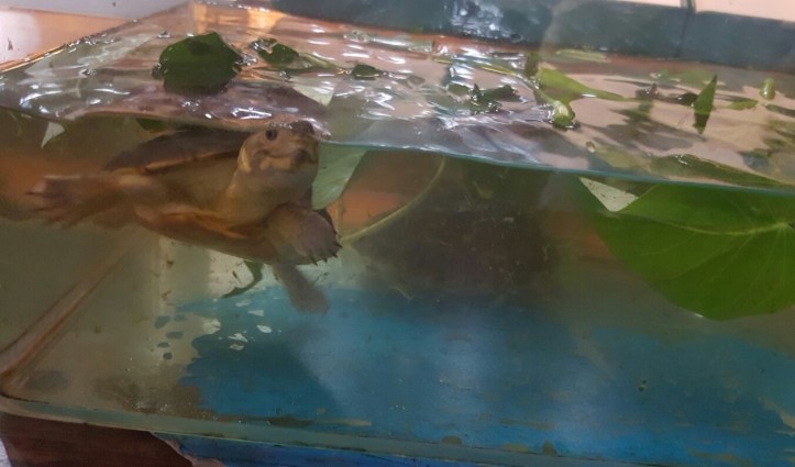 Screenshot_20170307-063317