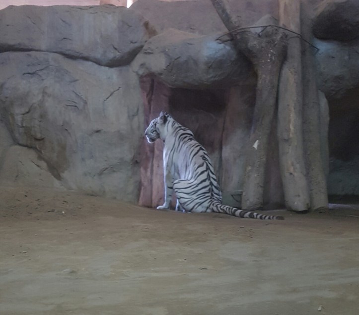 Screenshot_20170307-081926