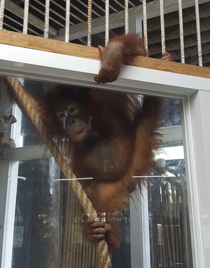 Screenshot_20170307-082427