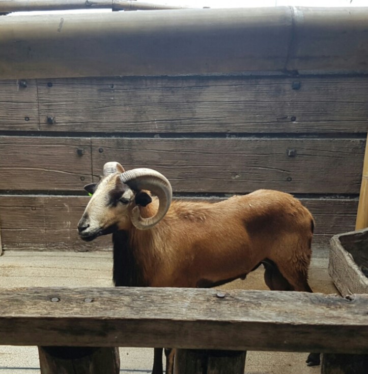 Screenshot_20170307-082453