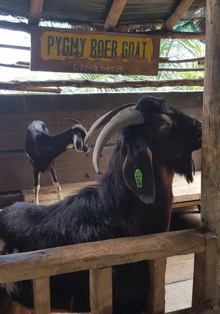 Screenshot_20170307-082512