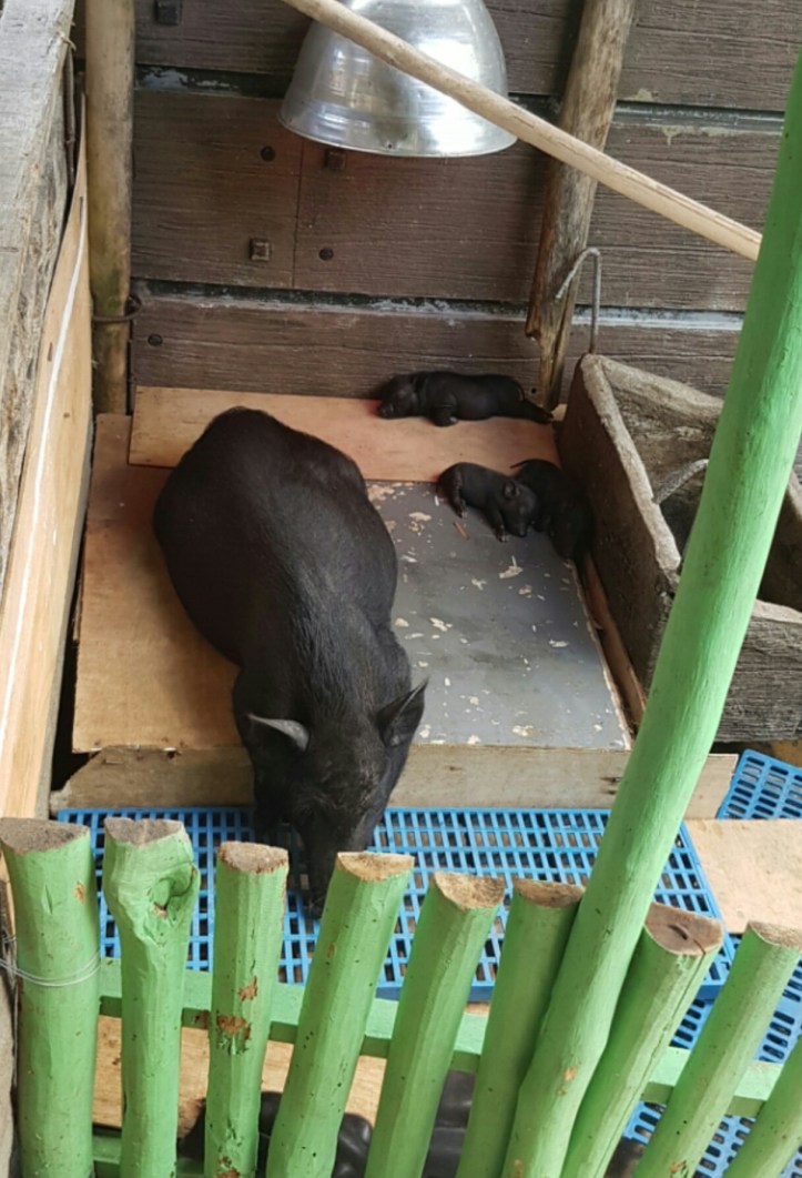 Screenshot_20170307-082608