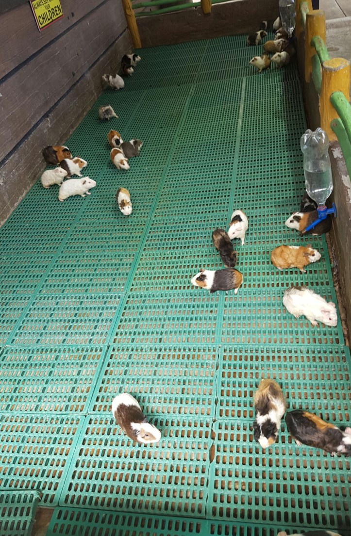 Screenshot_20170307-082628