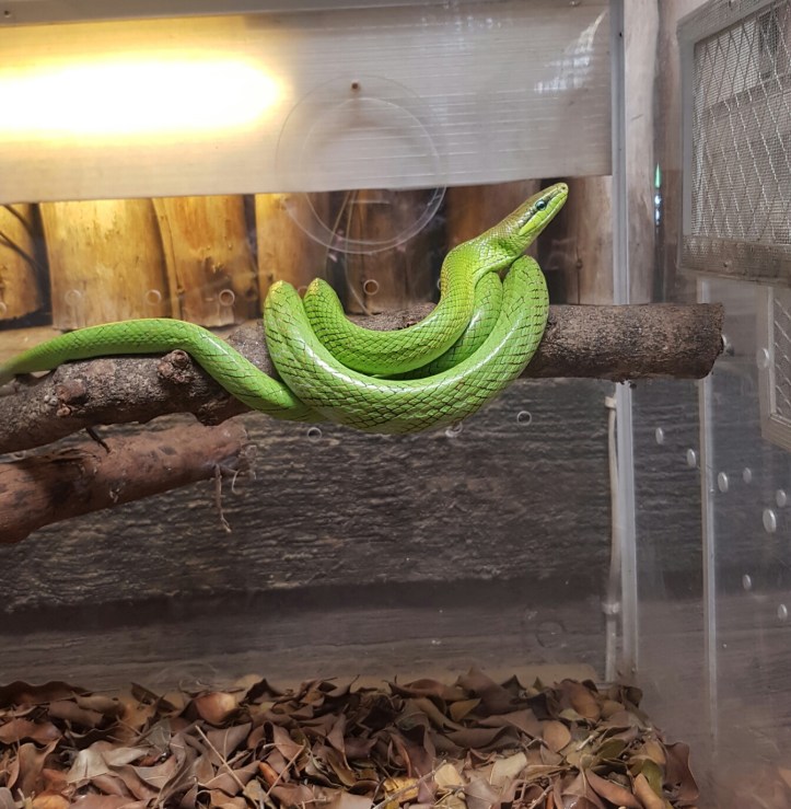 Screenshot_20170307-082645