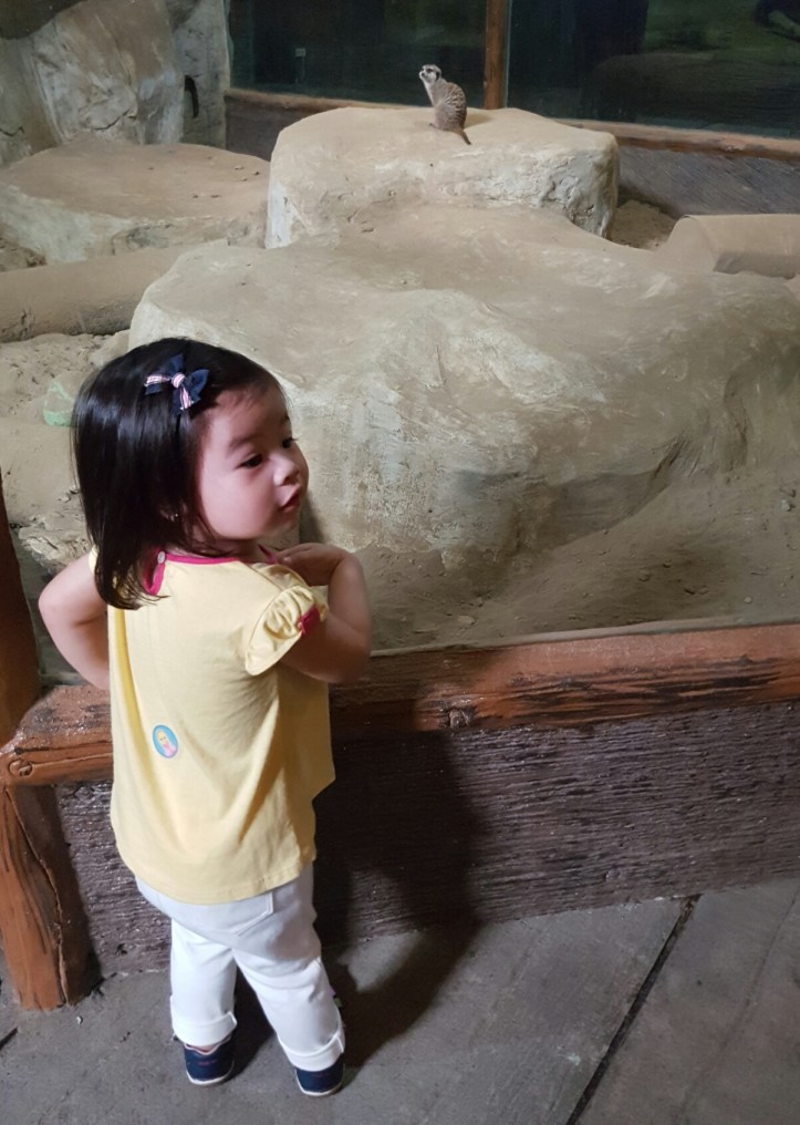 Screenshot_20170307-082703