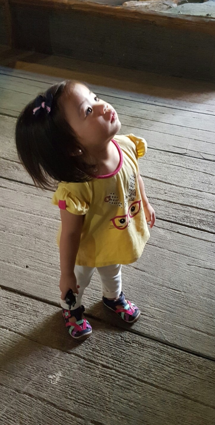 Screenshot_20170307-082732