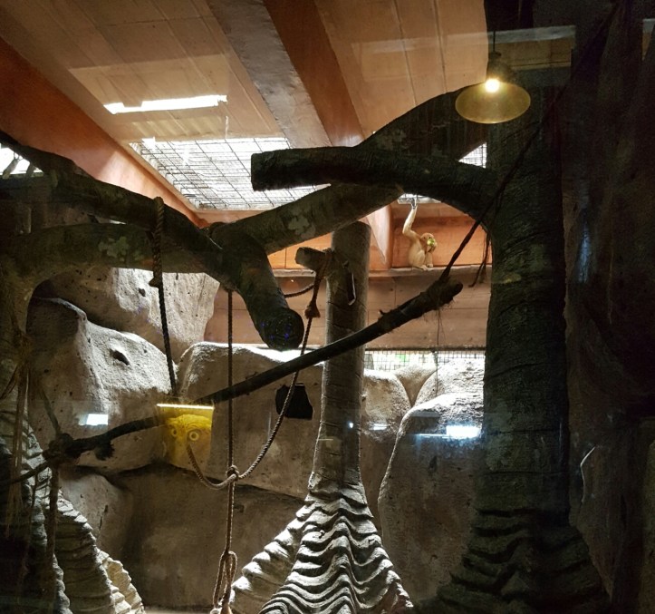 Screenshot_20170307-082823