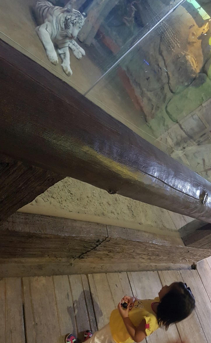 Screenshot_20170307-082913