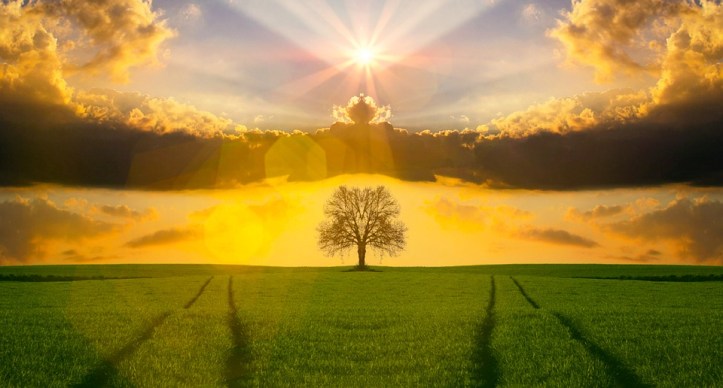 nature-3132038_960_720